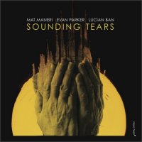 MAT MANERI - Mat Maneri/Evan Parker/Lucian Ban : Sounding Tears cover 