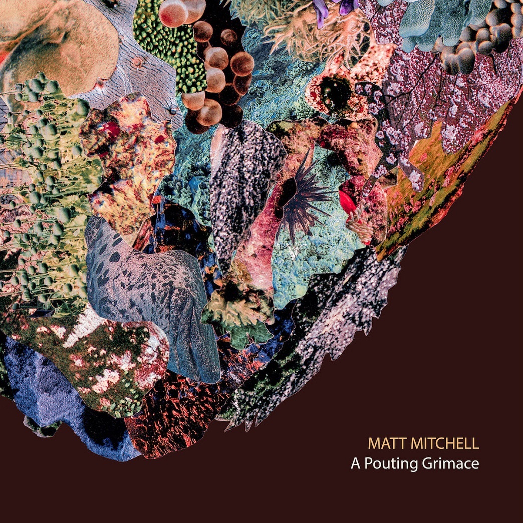 MATT MITCHELL - A Pouting Grimace cover 