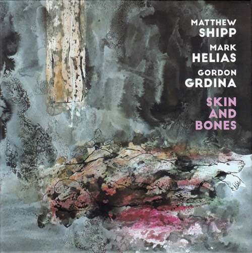 MATTHEW SHIPP - Matthew  Shipp / Mark Helias / Gordon Grdina : Skin and Bones cover 