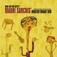 MAURI SANCHIS - What Did You Expect? cover 