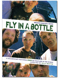MEDESKI MARTIN AND WOOD - Fly In A Bottle cover 