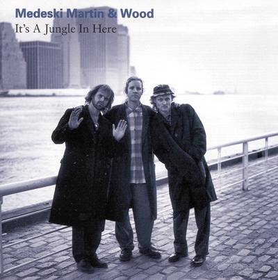 MEDESKI MARTIN AND WOOD - It's a Jungle in Here cover 