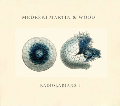 MEDESKI MARTIN AND WOOD - Radiolarians I cover 