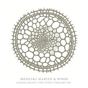 MEDESKI MARTIN AND WOOD - Radiolarians. The Evolutionary Set cover 