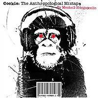 ME'SHELL NDEGÉOCELLO - Cookie: The Anthropological Mixtape cover 