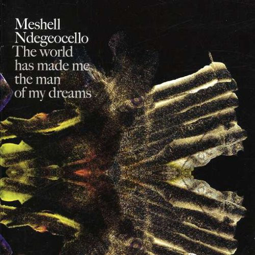ME'SHELL NDEGÉOCELLO - The World Has Made Me the Man of My Dreams cover 