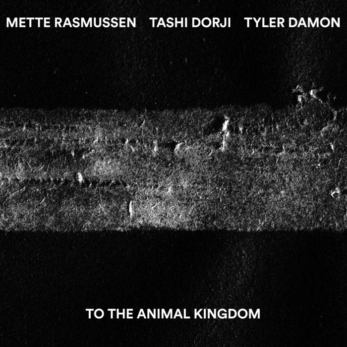 METTE RASMUSSEN - Mette Rasmussen, Tashi Dorji, Tyler Damon : To The Animal Kingdom cover 