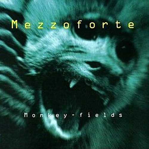 MEZZOFORTE - Monkey Fields cover 