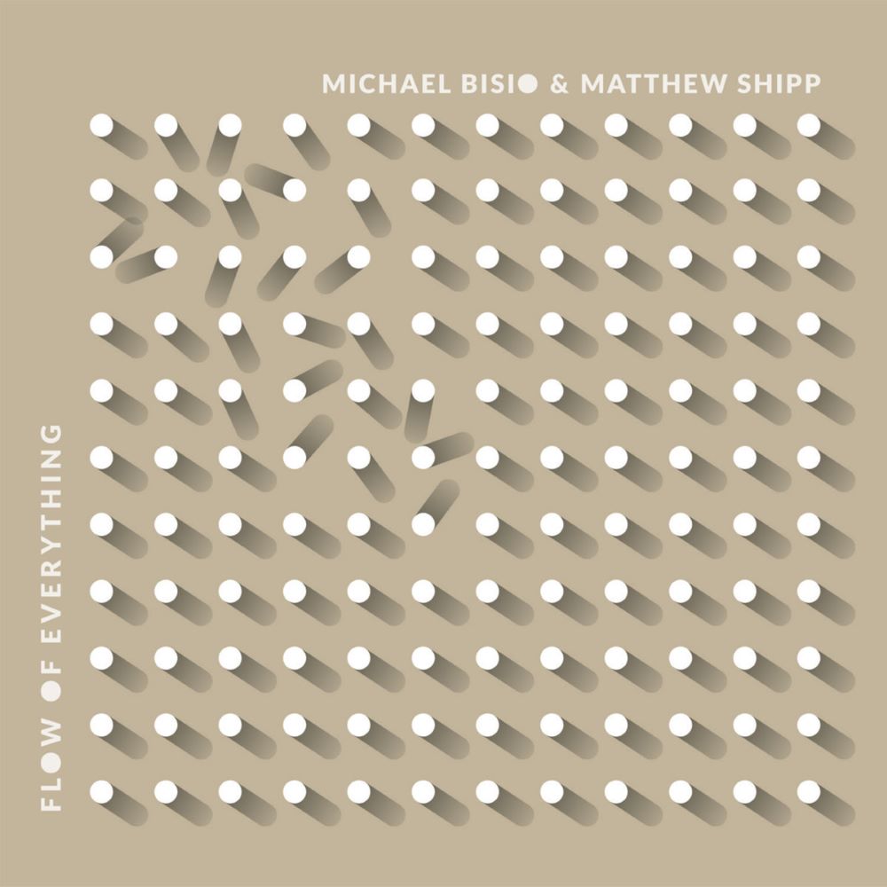MICHAEL BISIO - Michael Bisio & Matthew Shipp : Flow Of Everything cover 