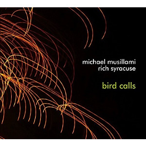 MICHAEL MUSILLAMI - Bird Calls cover 