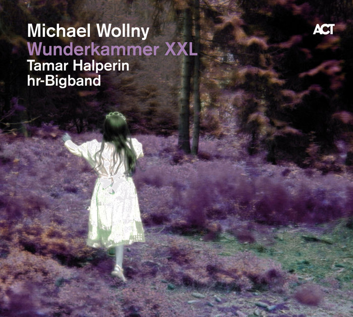 MICHAEL WOLLNY - Wunderkammer cover 