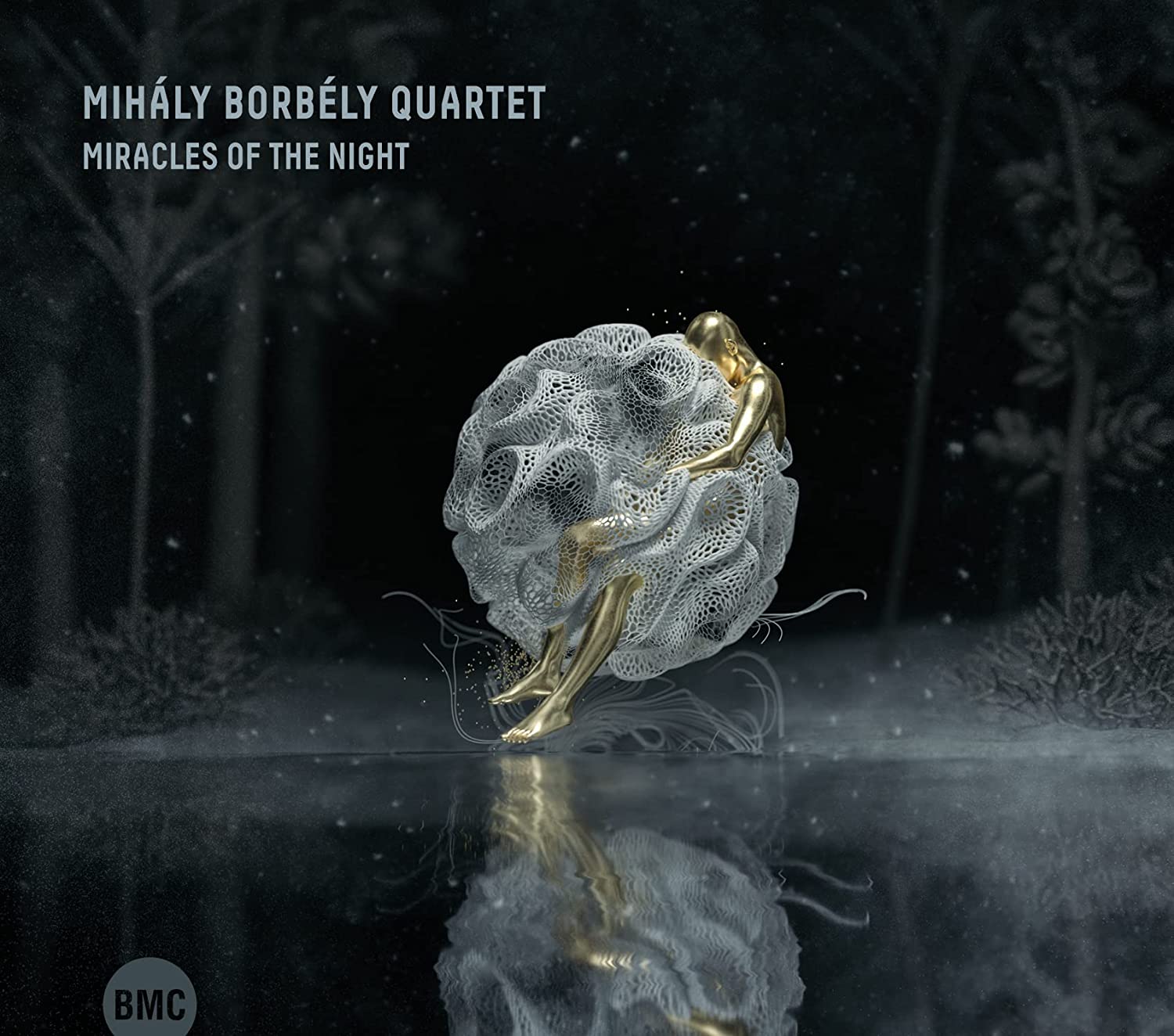 MIHÁLY BORBÉLY - Miracles Of The Night cover 