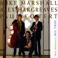 MIKE MARSHALL - Mike Marshall's Big Trio cover 