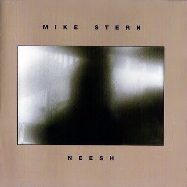 MIKE STERN - Neesh cover 