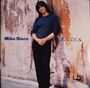 MIKE STERN - Voices cover 