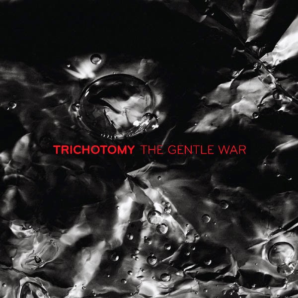 MISINTERPROTATO / TRICHOTOMY - The Gentle War cover 