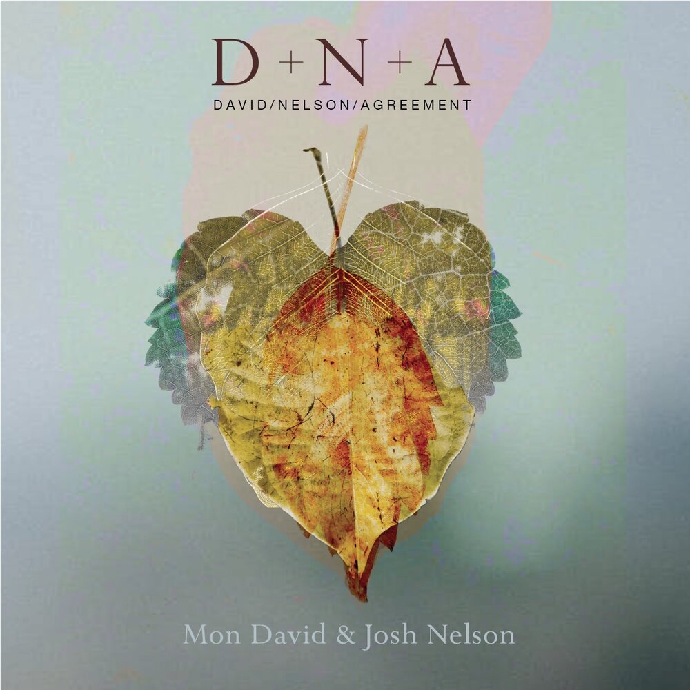 MON DAVID - David / Nelson Agreement : D.N.A. cover 