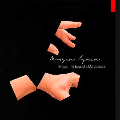 MORGAN AGREN - Through The Eyes of a Morgchestra cover 