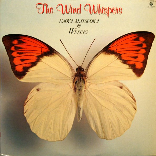 NAOYA MATSUOKA - The Wind Whispers cover 