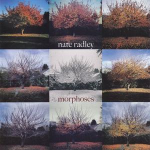 NATE RADLEY - Morphoses (feat. Loren Stillman & Matt Pavolka) cover 