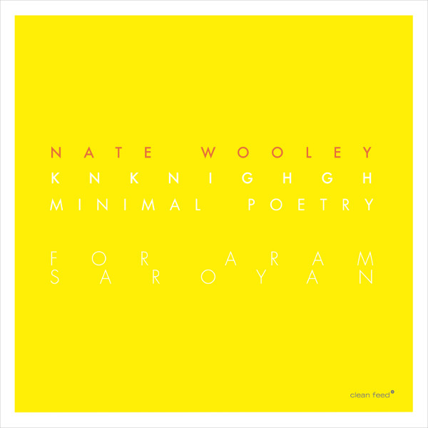 NATE WOOLEY - Knknighgh (Minimal Poetry For Aram Saroyan) cover 