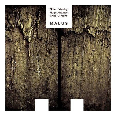 NATE WOOLEY - Nate Wooley, Hugo Antunes, Chris Corsano : MALUS cover 