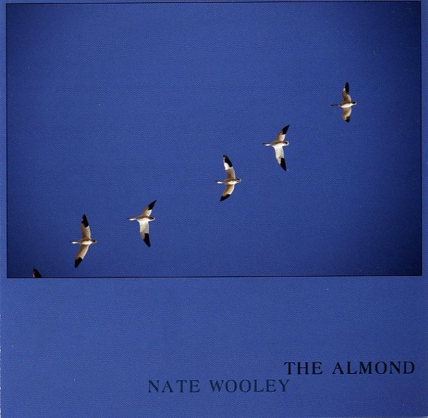 NATE WOOLEY - The Almond cover 