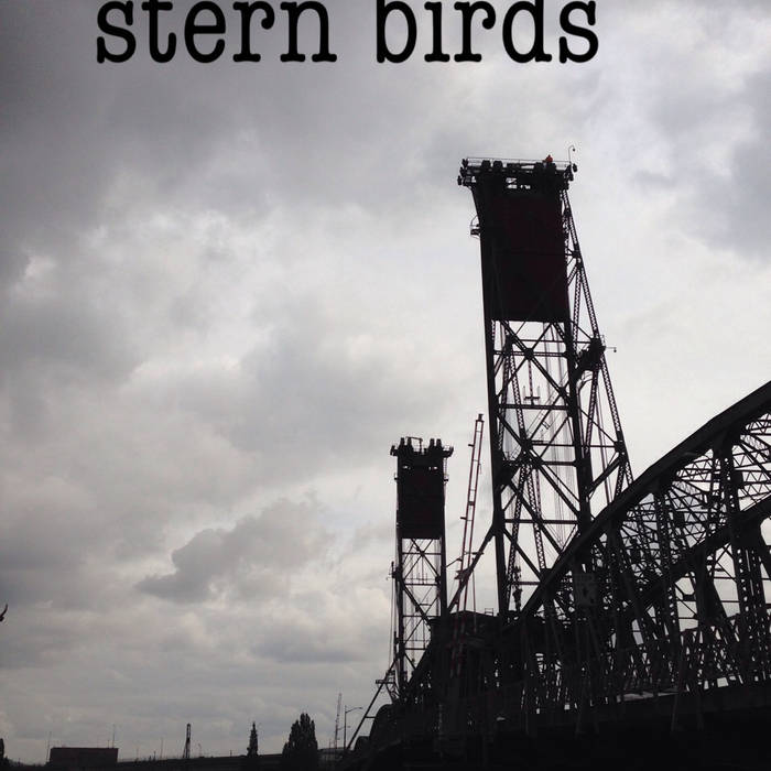 NATHAN CLEVENGER - Stern Birds cover 
