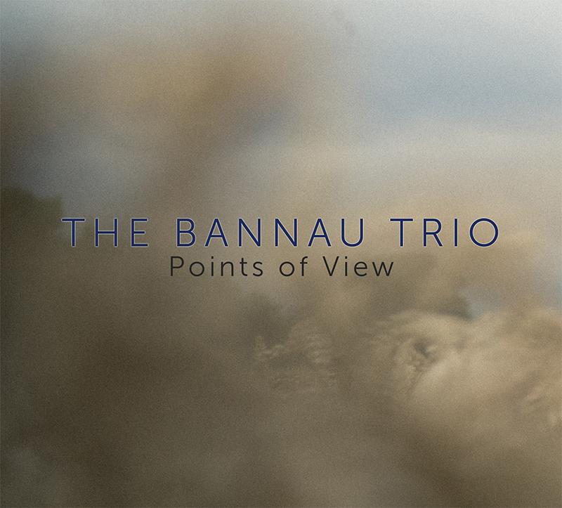 NIA LYNN - Nia Lynn's Bannau Trio : Points of View cover 