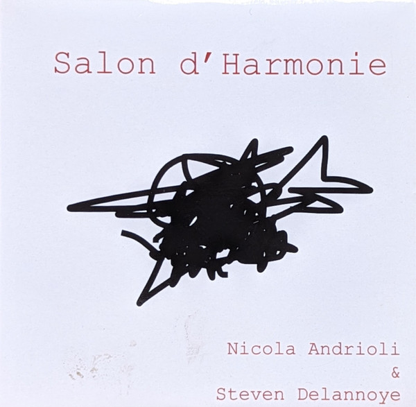 NICOLA ANDRIOLI - Nicola Andrioli & Steven Delannoye : Salon D'Harmonie cover 