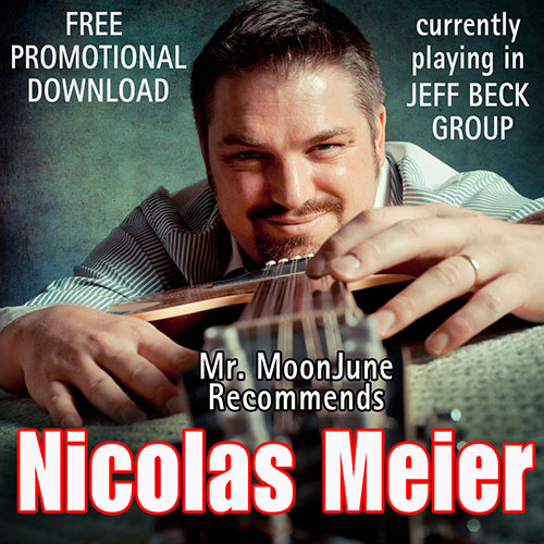 NICOLAS MEIER - Mr. MoonJune Recommends: Nicolas Meier cover 