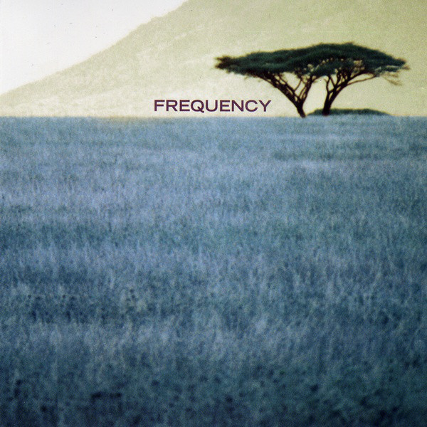 NICOLE MITCHELL - Frequency cover 