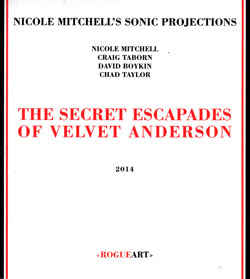 NICOLE MITCHELL - Nicole Mitchell's Sonic Projections ‎: The Secret Escapades Of Velvet Anderson cover 