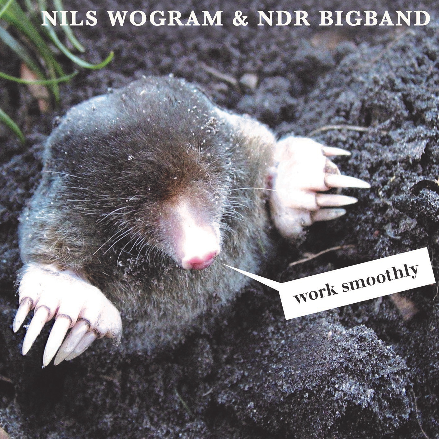 NILS WOGRAM - Nils Wogram & NDR Bigband : Work Smoothly cover 