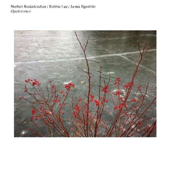 NORBERT RODENKIRCHEN - Norbert Rodenkirchen / Robbie Lee / James Ilgenfritz : Opalescence cover 
