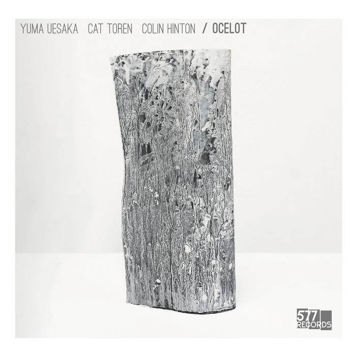 OCELOT (YUMA UESAKA - CAT TOREN - COLIN HINTON) - Ocelot cover 