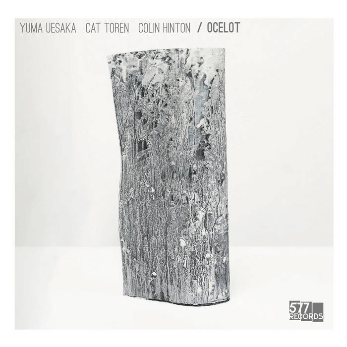 OCELOT (YUMA UESAKA - CAT TOREN - COLIN HINTON) - Ocelot cover 