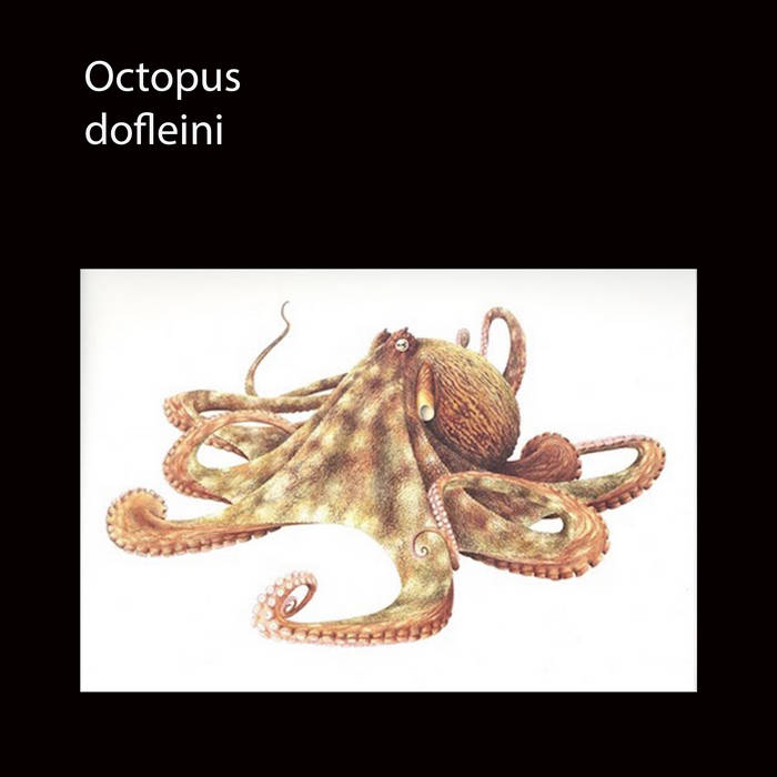 OCTOPUS - dofleini cover 
