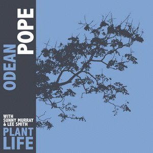 ODEAN POPE - Plant Life cover 