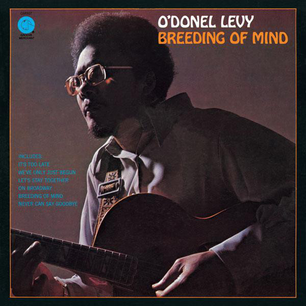 O'DONEL LEVY - Breeding Of Mind cover 