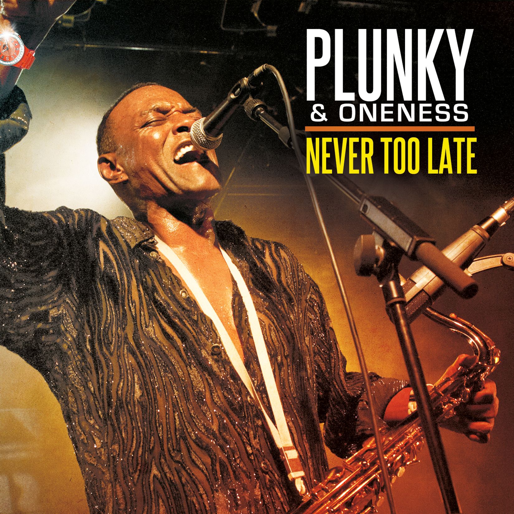 ONENESS OF JUJU / PLUNKY & ONENESS / PLUNKY - Plunky & Oneness : Never Too Late cover 