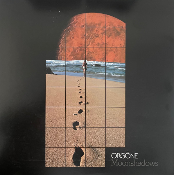 ORGONE - Moonshadows cover 