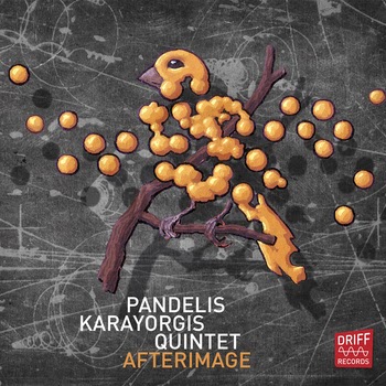 PANDELIS KARAYORGIS - Afterimage cover 