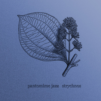 PANTOMIME JAZZ - Strychnos cover 
