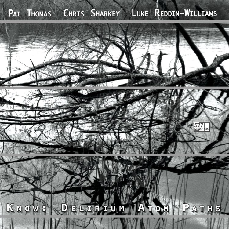 PAT THOMAS - Pat Thomas Chris Sharkey Luke Reddin-Williams : Know - Delirium Atom Paths cover 