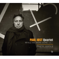 PAUL JOST - While We Were Gone cover 