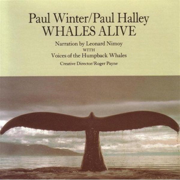 PAUL WINTER - Whales Alive cover 