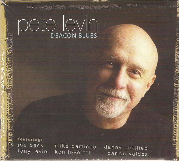 PETE LEVIN - Deacon Blues cover 