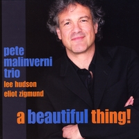 PETE MALINVERNI - A Beautiful Thing! cover 