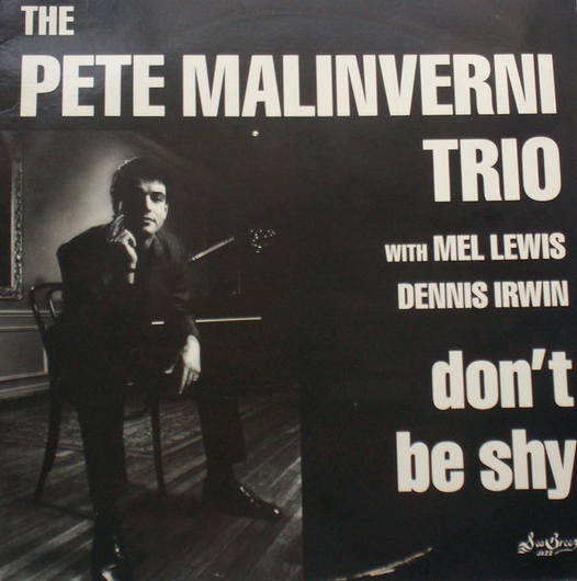 PETE MALINVERNI - Don't Be Shy cover 